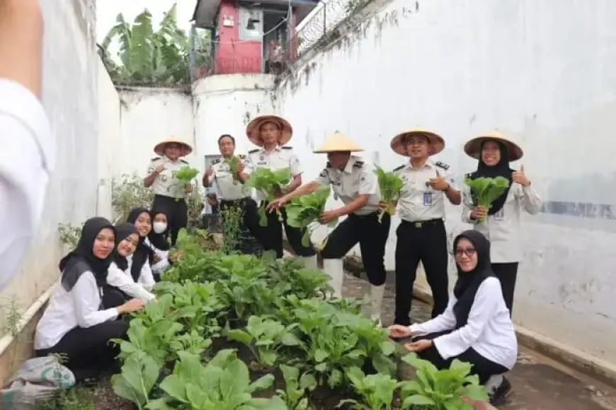 Rutan Kraksaan Probolinggo Panen Raya Sawi dan Kacang Panjang, Dukung Program Ketahanan Pangan Nasional