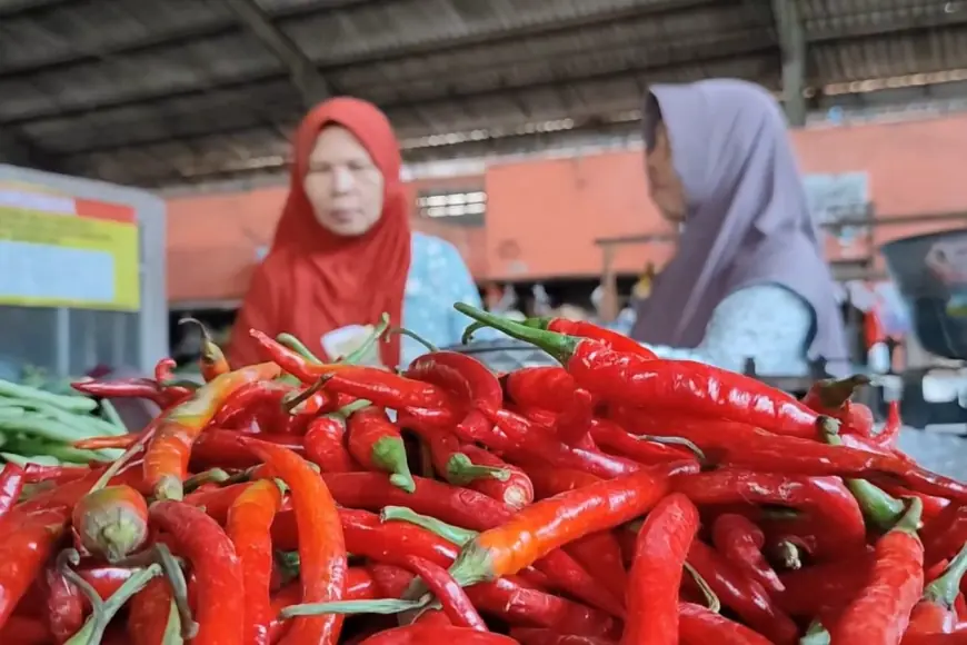 Jelang Ramadan 2026, Harga Cabai dan Kebutuhan Pokok di Bondowoso Mulai Naik
