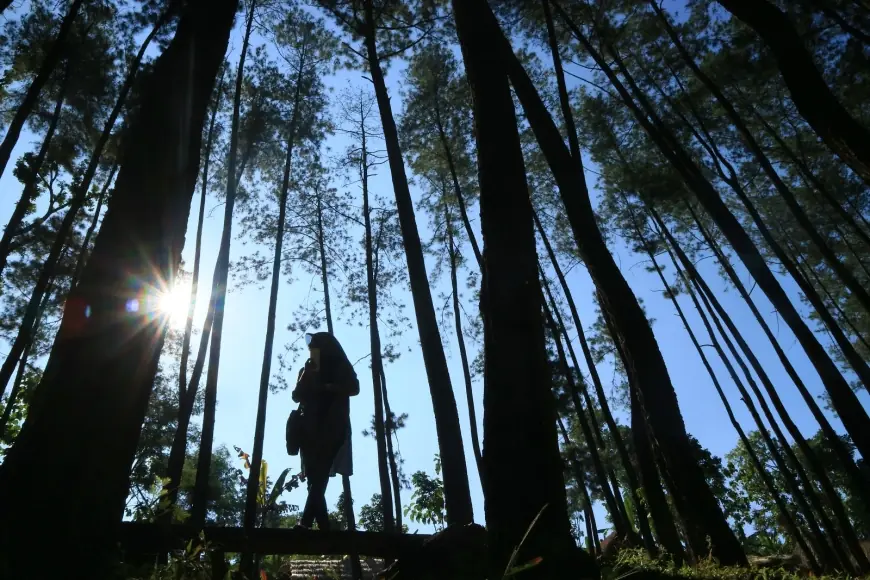 Sejuk dan Asri, Nongko Ijo Jadi Ruang Hijau Favorit Warga Kota Madiun