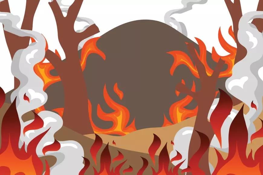 Pengobatan Korban Asap Kebakaran Hutan dan Lahan Ditanggung BPJS