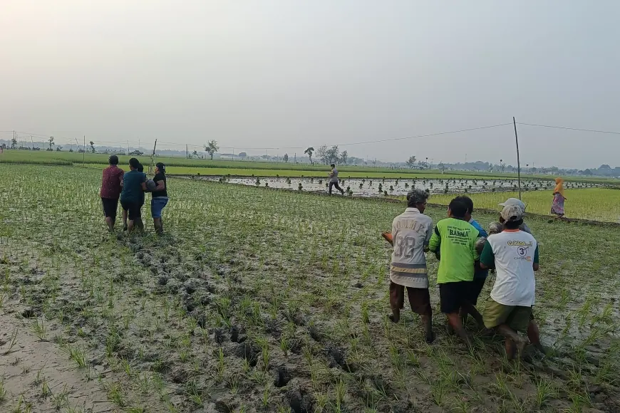 Ibu dan Anak di Bojonegoro Tewas, Diduga Tersengat Jebakan Tikus di Sawah