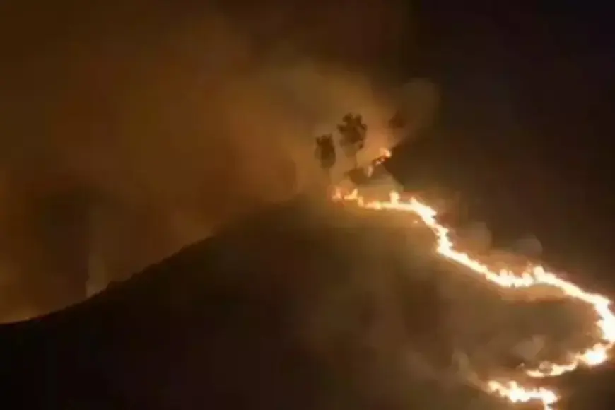 Akses Wisata Bromo via Jemplang Ditutup Total Akibat Kebakaran di Savana Pengol